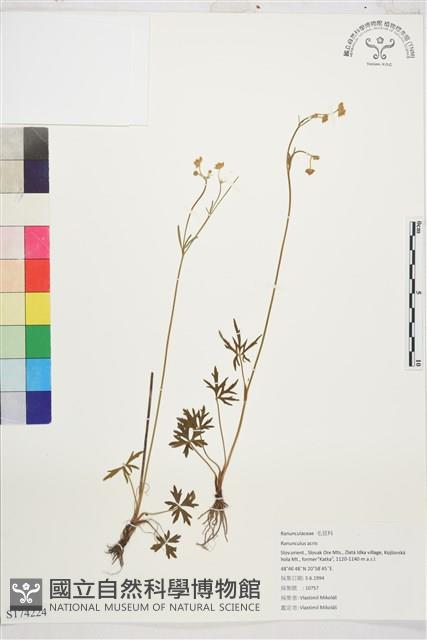 登錄號:S174224藏品圖，第1張