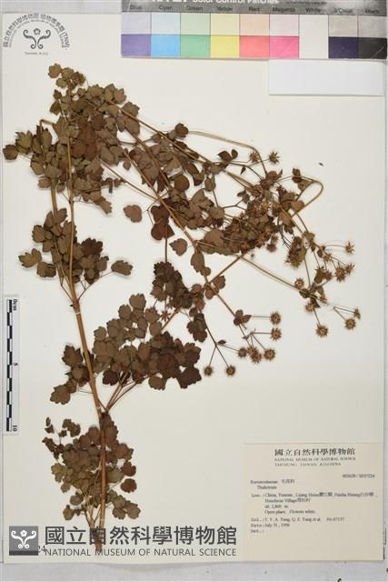 登錄號:S037224藏品圖，第1張