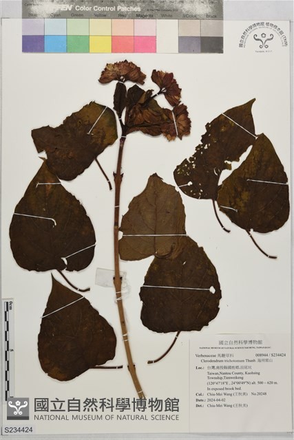 海州常山藏品圖，第1張