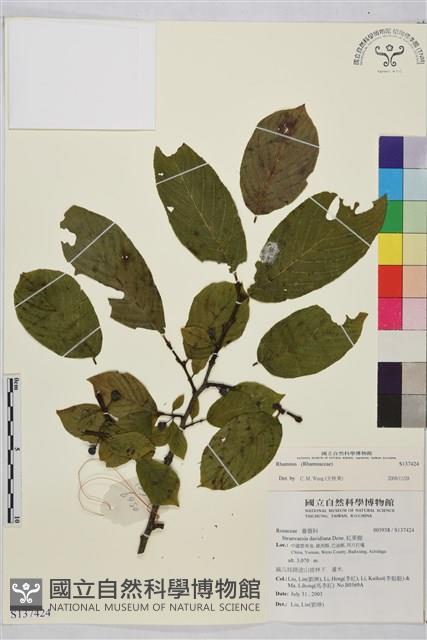 登錄號:S137424藏品圖，第1張