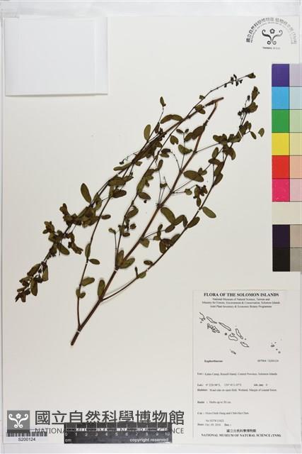 登錄號:S200124藏品圖，第1張