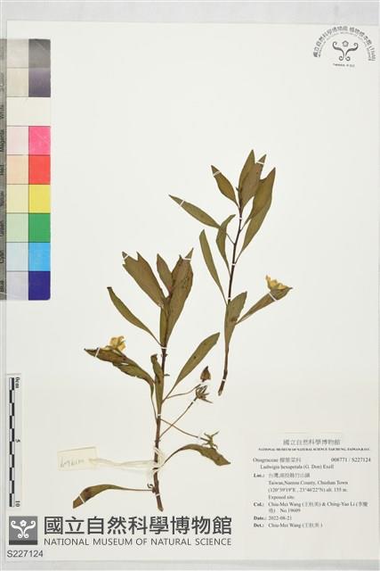 登錄號:S227124藏品圖，第1張