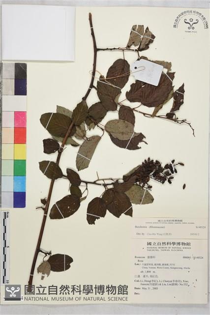 登錄號:S140324藏品圖，第1張