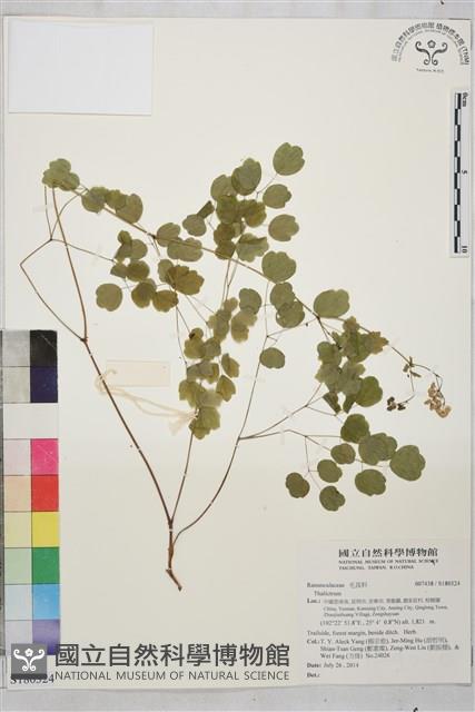 登錄號:S180324藏品圖，第1張