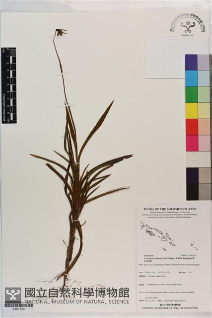 登錄號:S201324藏品圖，第1張