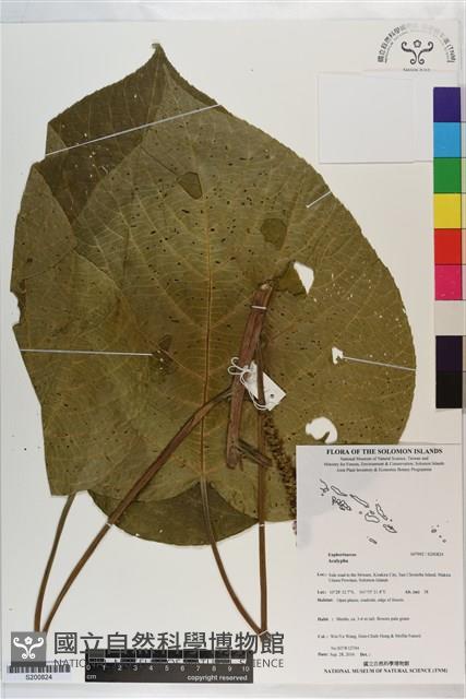 登錄號:S200824藏品圖，第1張