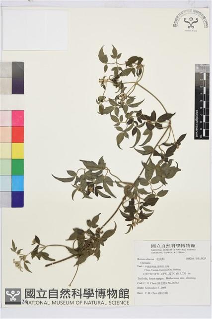 登錄號:S115824藏品圖，第1張