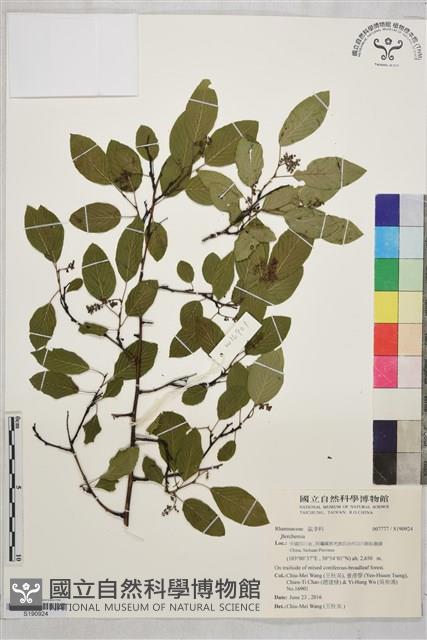 登錄號:S190924藏品圖，第1張