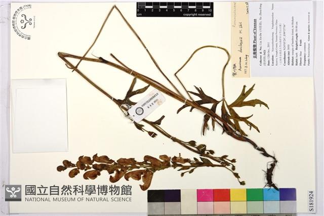 登錄號:S181924藏品圖，第1張