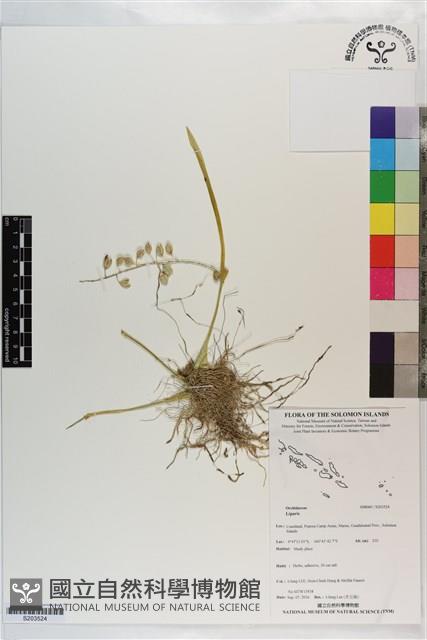 登錄號:S203524藏品圖，第1張