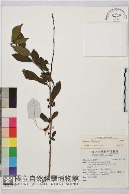 登錄號:S137524藏品圖，第1張