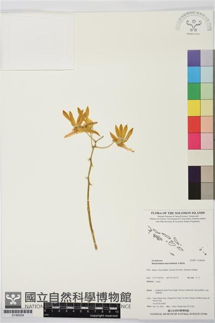 登錄號:S196004藏品圖，第1張