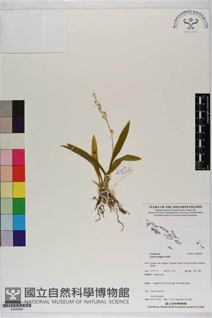 登錄號:S200004藏品圖，第1張