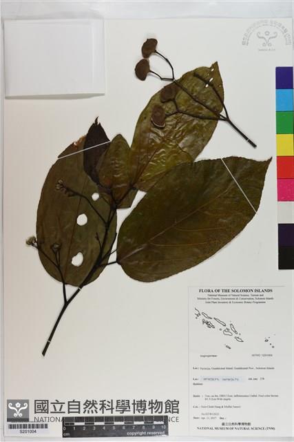 登錄號:S201004藏品圖，第1張