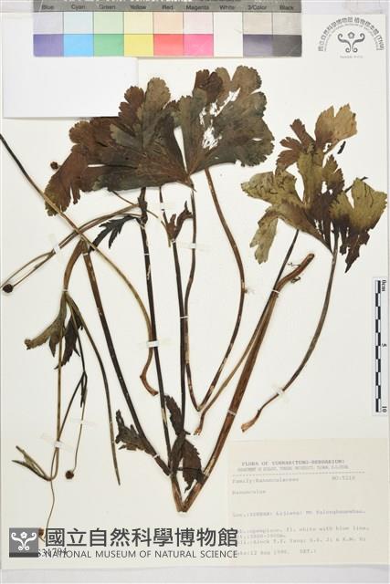 登錄號:S031704藏品圖，第1張