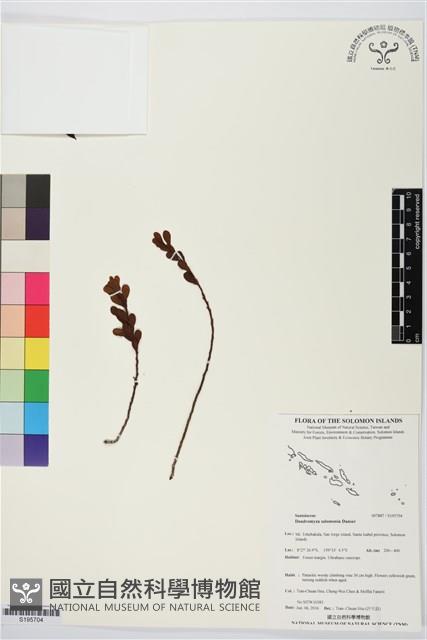 登錄號:S195704藏品圖，第1張