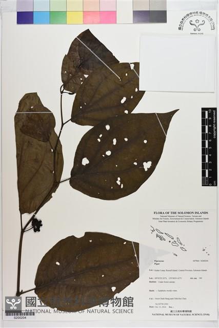 登錄號:S200204藏品圖，第1張