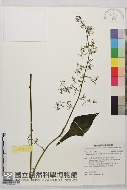 山苦藚、假福王草藏品圖，第1張