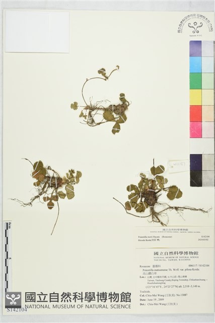 登錄號:S142104藏品圖，第1張