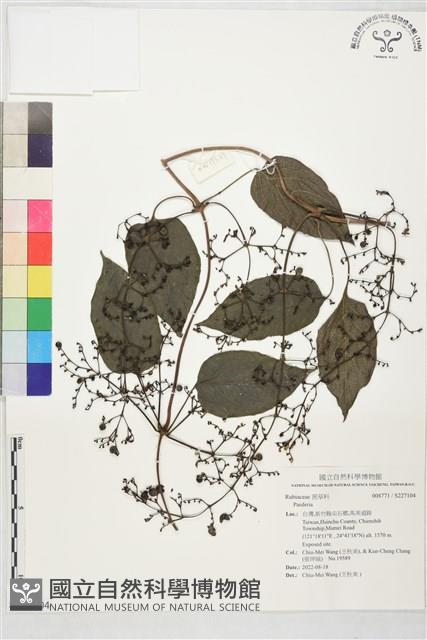 登錄號:S227104藏品圖，第1張