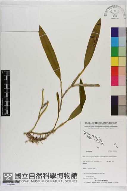 登錄號:S200304藏品圖，第1張