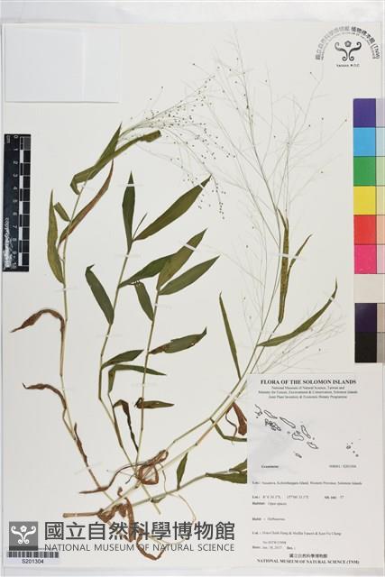 登錄號:S201304藏品圖，第1張