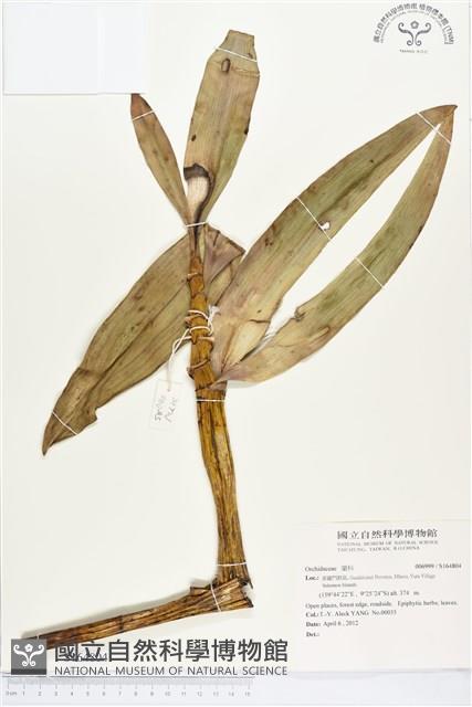 登錄號:S164804藏品圖，第1張