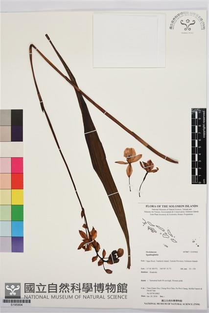 登錄號:S195904藏品圖，第1張