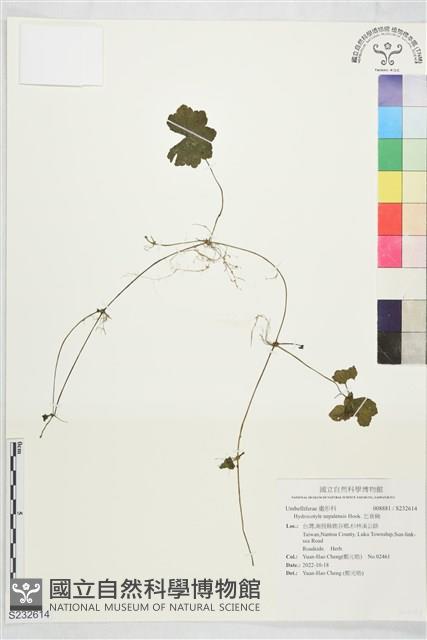 乞食碗藏品圖，第1張