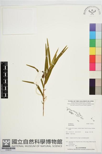 登錄號:S196014藏品圖，第1張