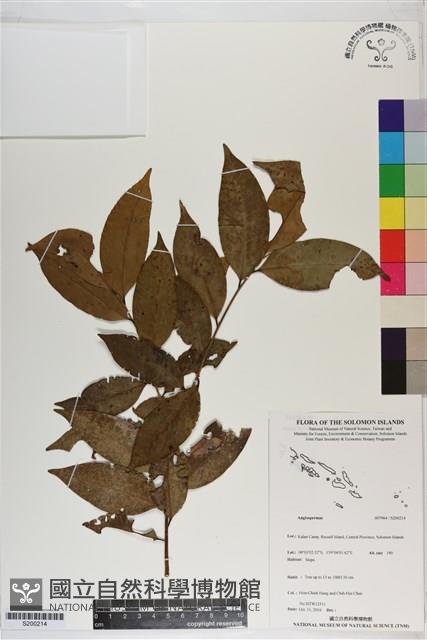 登錄號:S200214藏品圖，第1張