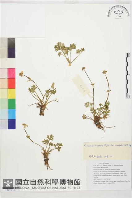 登錄號:S211214藏品圖，第1張