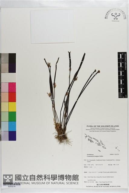 登錄號:S203214藏品圖，第1張