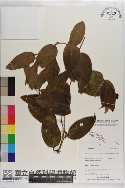 登錄號:S203414藏品圖，第1張