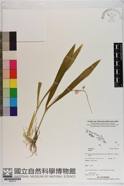 登錄號:S200114藏品圖，第1張