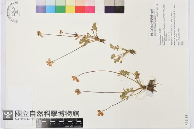 登錄號:S074114藏品圖，第1張