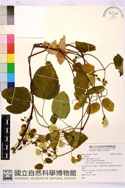 登錄號:S092314藏品圖，第1張