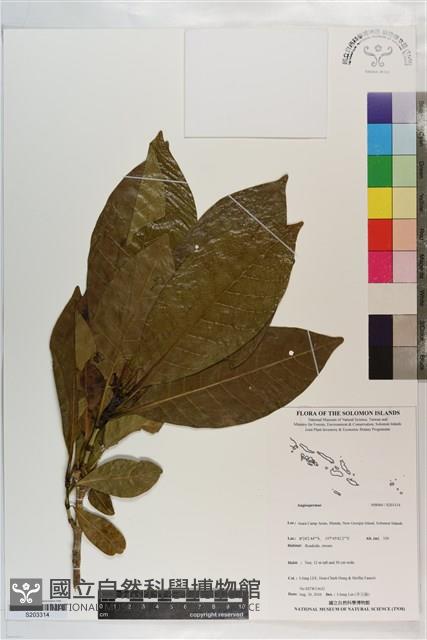 登錄號:S203314藏品圖，第1張