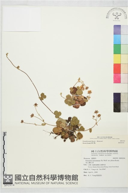 登錄號:S091814藏品圖，第1張