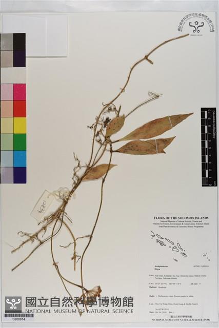登錄號:S200914藏品圖，第1張