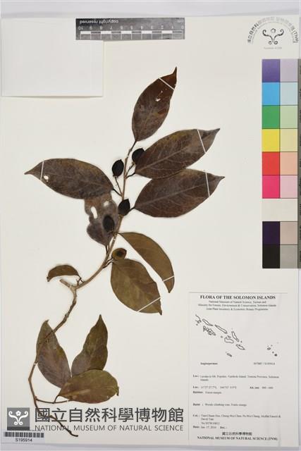 登錄號:S195914藏品圖，第1張