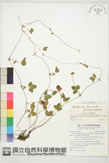 登錄號:S122654藏品圖，第1張
