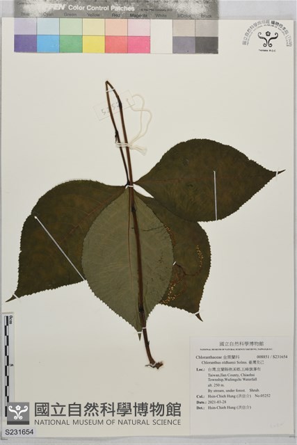 臺灣及己藏品圖，第1張