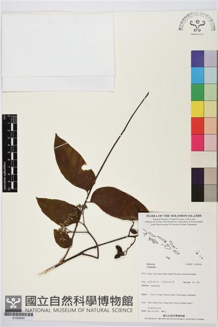 登錄號:S195654藏品圖，第1張