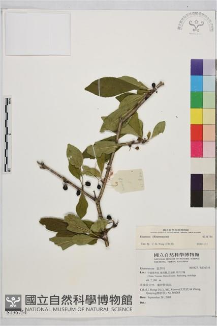 登錄號:S136754藏品圖，第1張