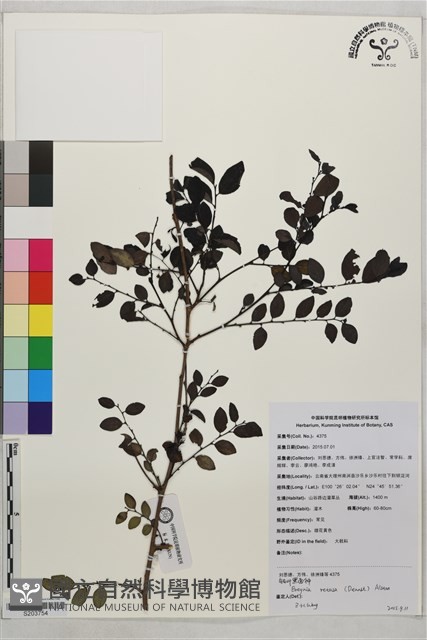 登錄號:S203754藏品圖，第1張