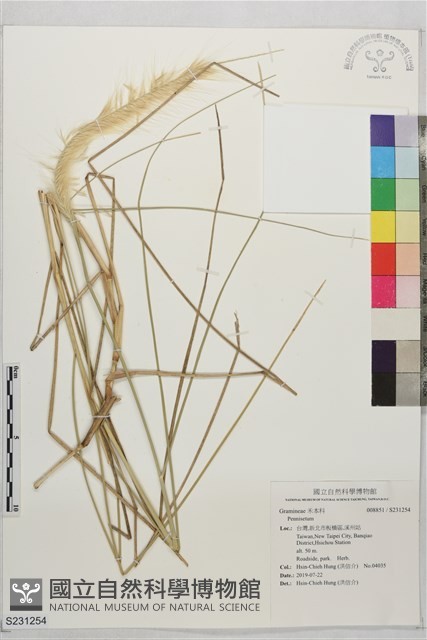 登錄號:S231254藏品圖，第1張