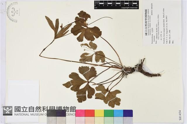 登錄號:S081454藏品圖，第1張