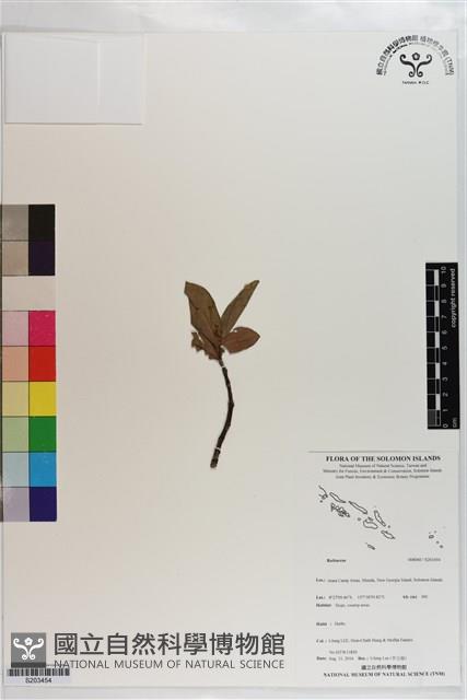 登錄號:S203454藏品圖，第1張