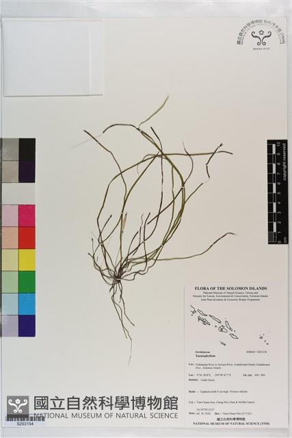 登錄號:S203154藏品圖，第1張